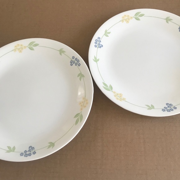 Corelle Secret Garden Plates